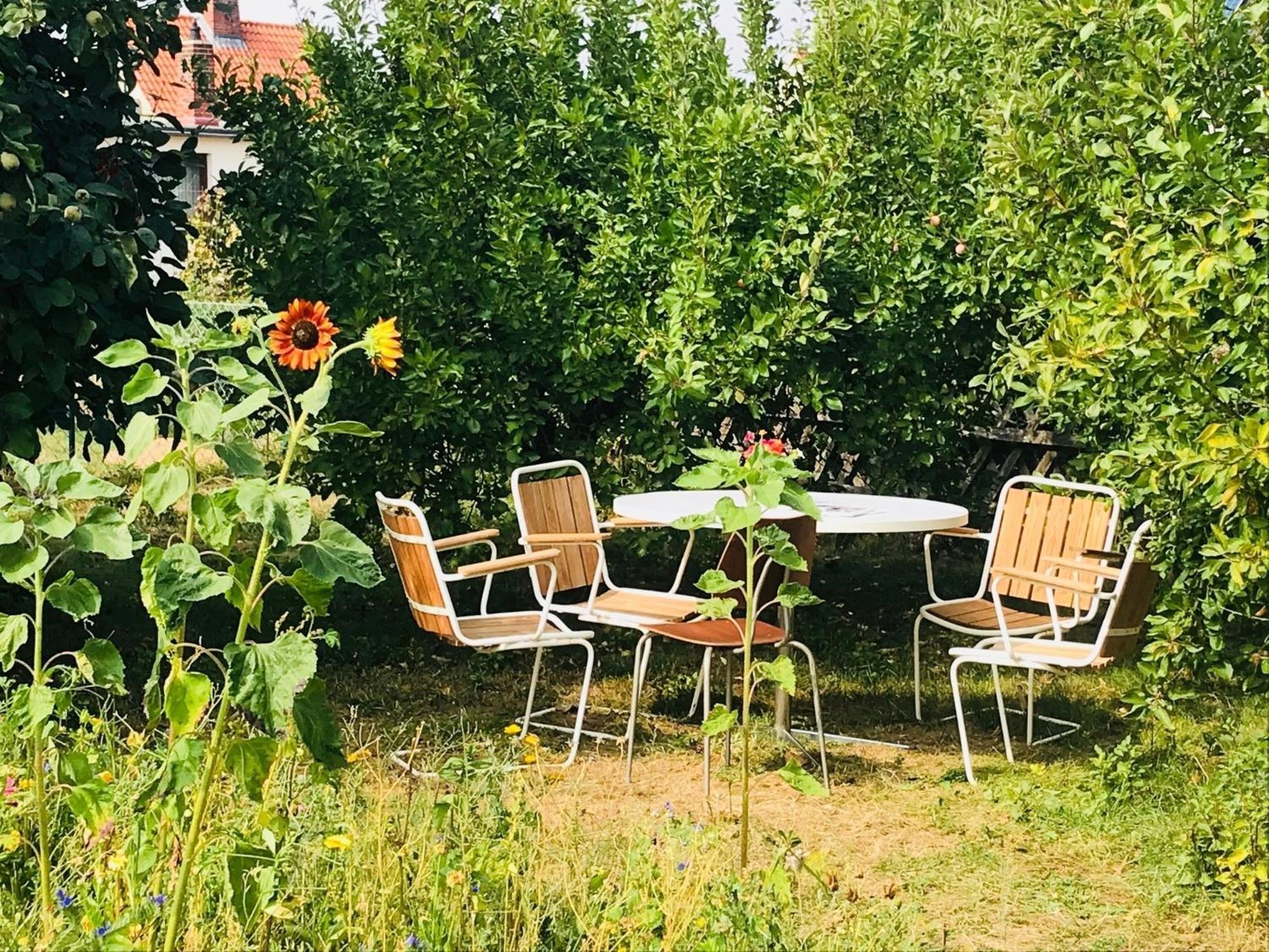 Casa Marcu Wohnung 1 Og Landkirchen Экстерьер фото